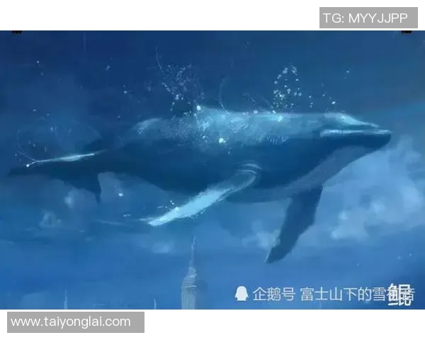 深度对话：张芳如何在和平精英中找到自我与成长的旅程