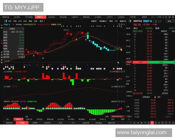 独家解析V5战术对比与战队表现的深度剖析