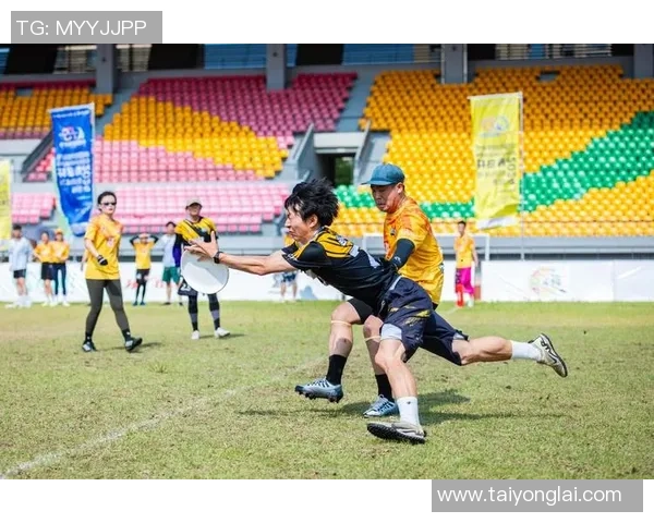 飞盘热潮席卷北京解密飞盘队的反击策略与背后故事
